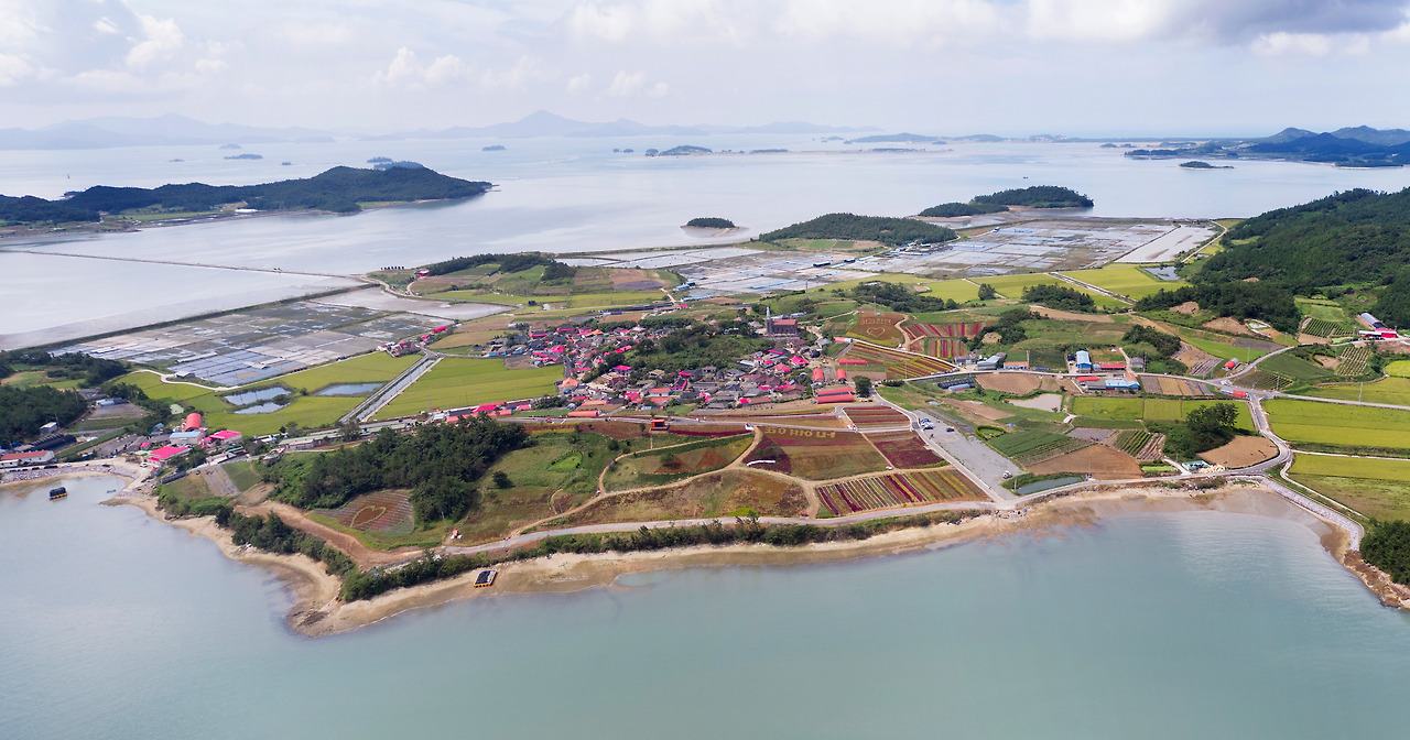 9-4병풍도맨드라미_028 복사본.jpg