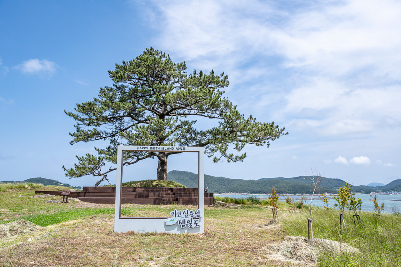 10-2완도 생일송 포토존.jpg
