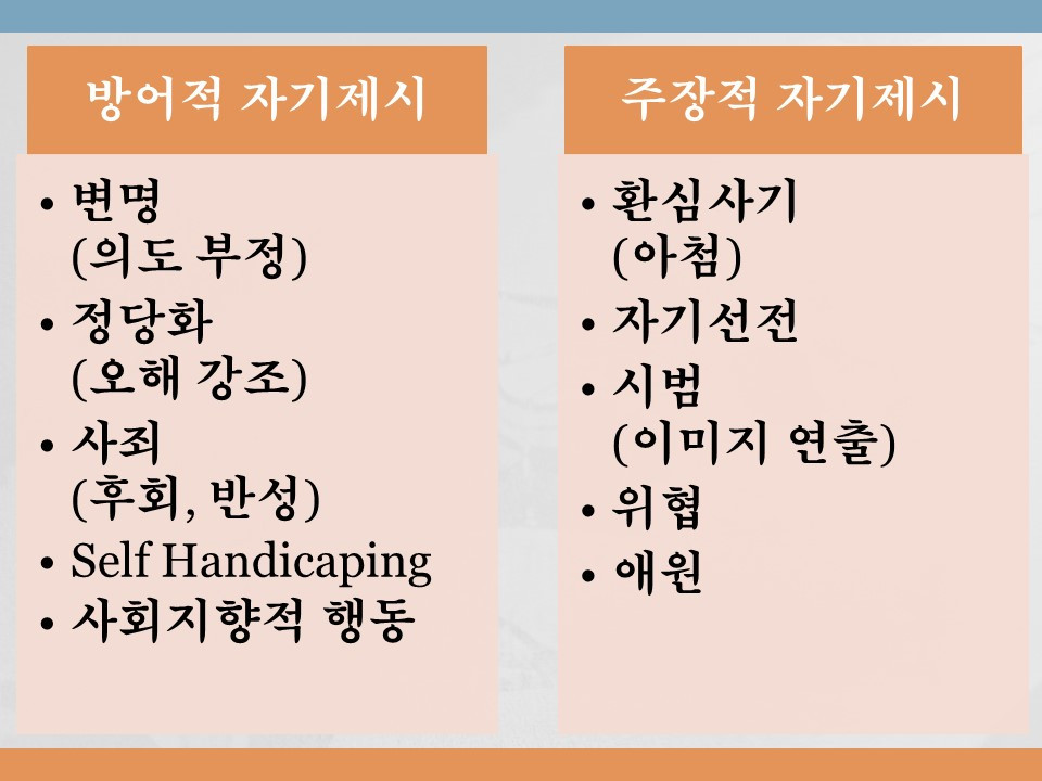 자기제시의 종류.jpg