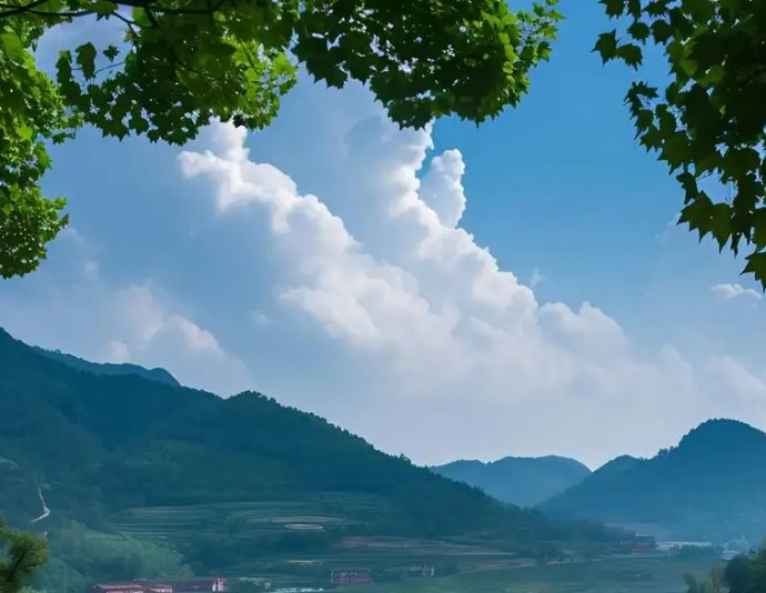 온라인 카지노 게임
