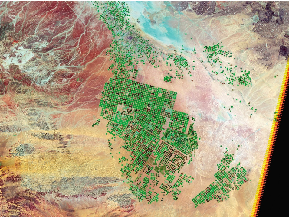 농경지 위성사진.jpg