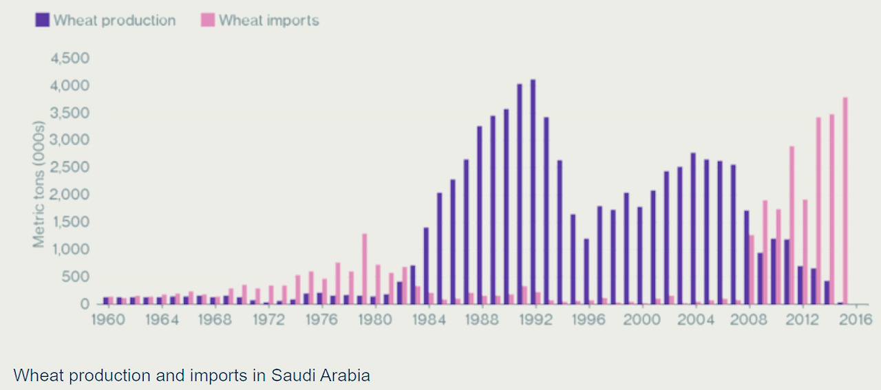 사우디 밀수입그래프.jpg