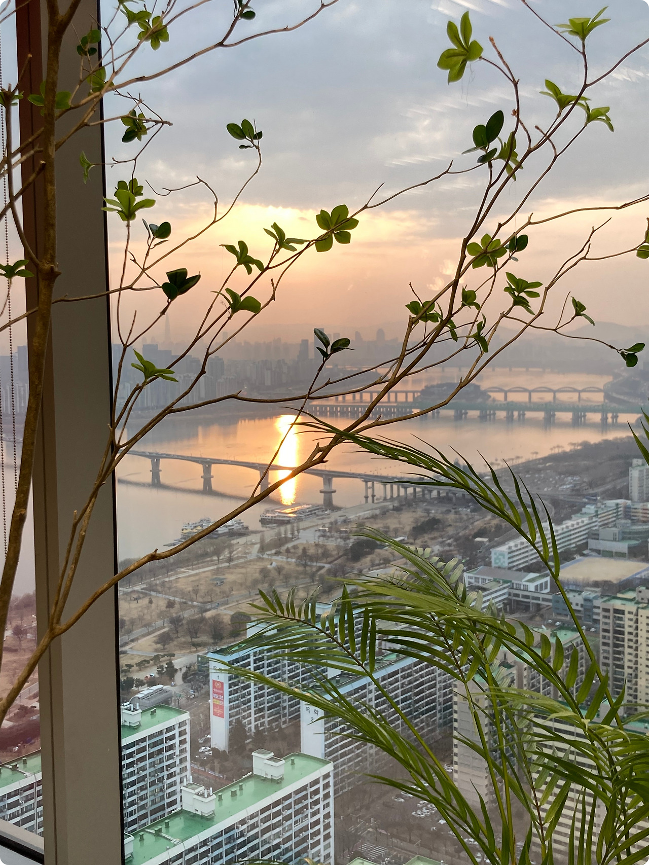 천사 강림 - jay.8ark박지은.jpg