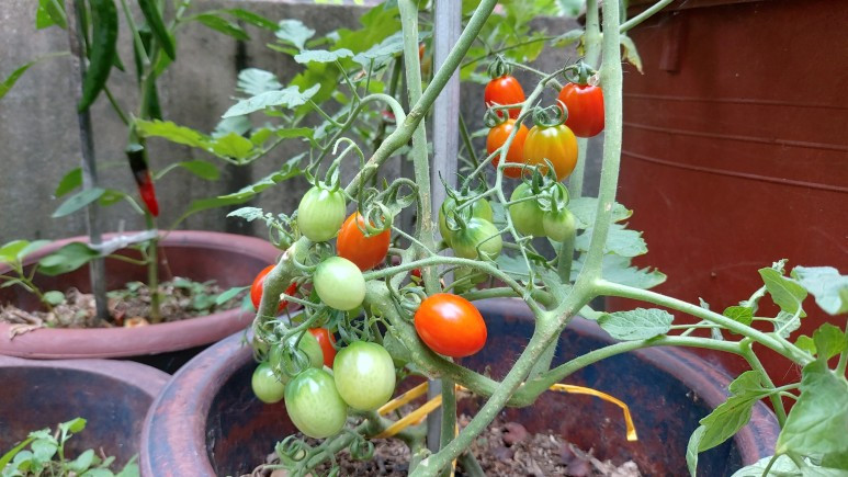 방토 공주 둘이 블로그.jpg