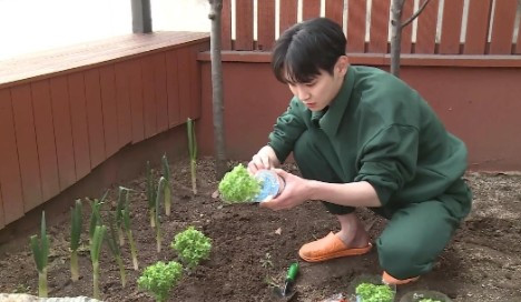 나혼자산다 388회11.jpg