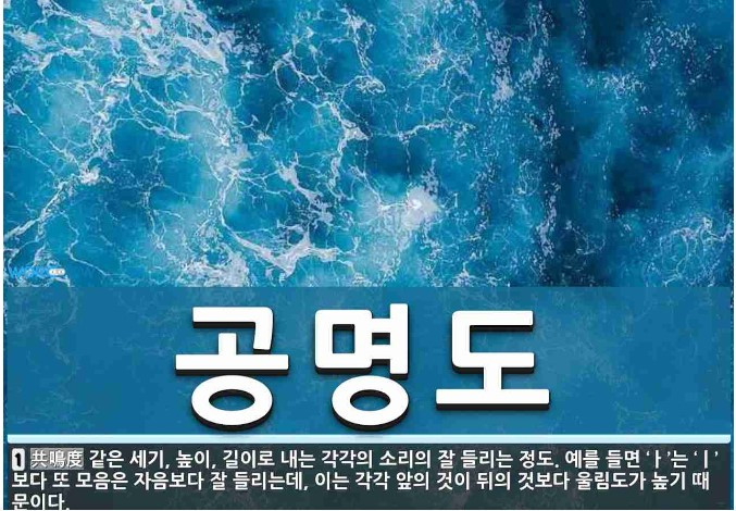 화면 캡처 2023-07-30 203534.jpg