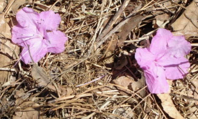 화면 캡처 2025-05-01 085011.jpg