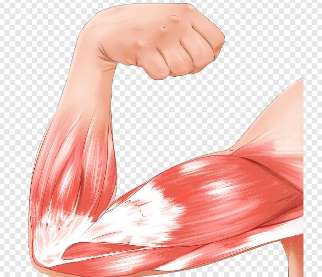 화면 캡처 2023-06-29 174953.jpg