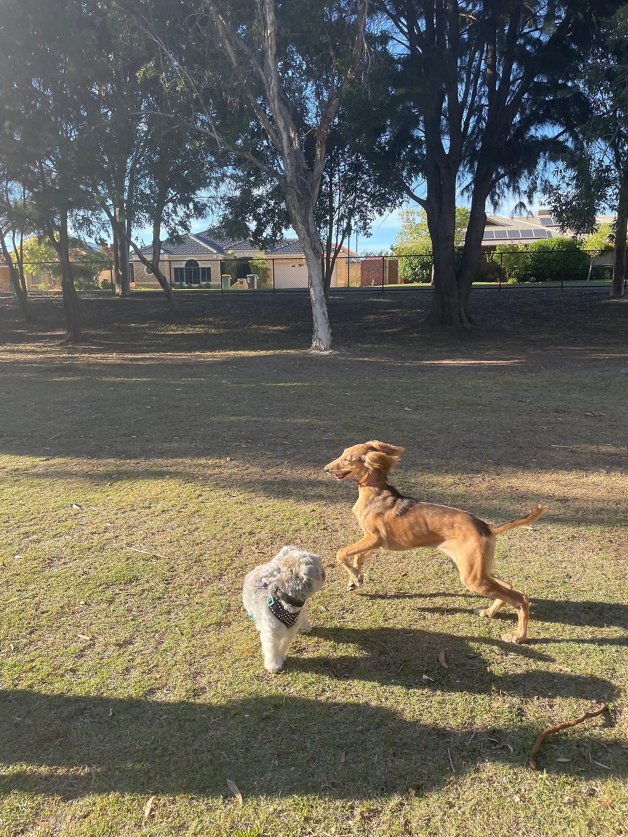 KakaoTalk_20220328_203255722 - Copy.jpg