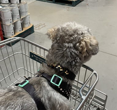 Copy ofKakaoTalk_20221114_174654810.jpg