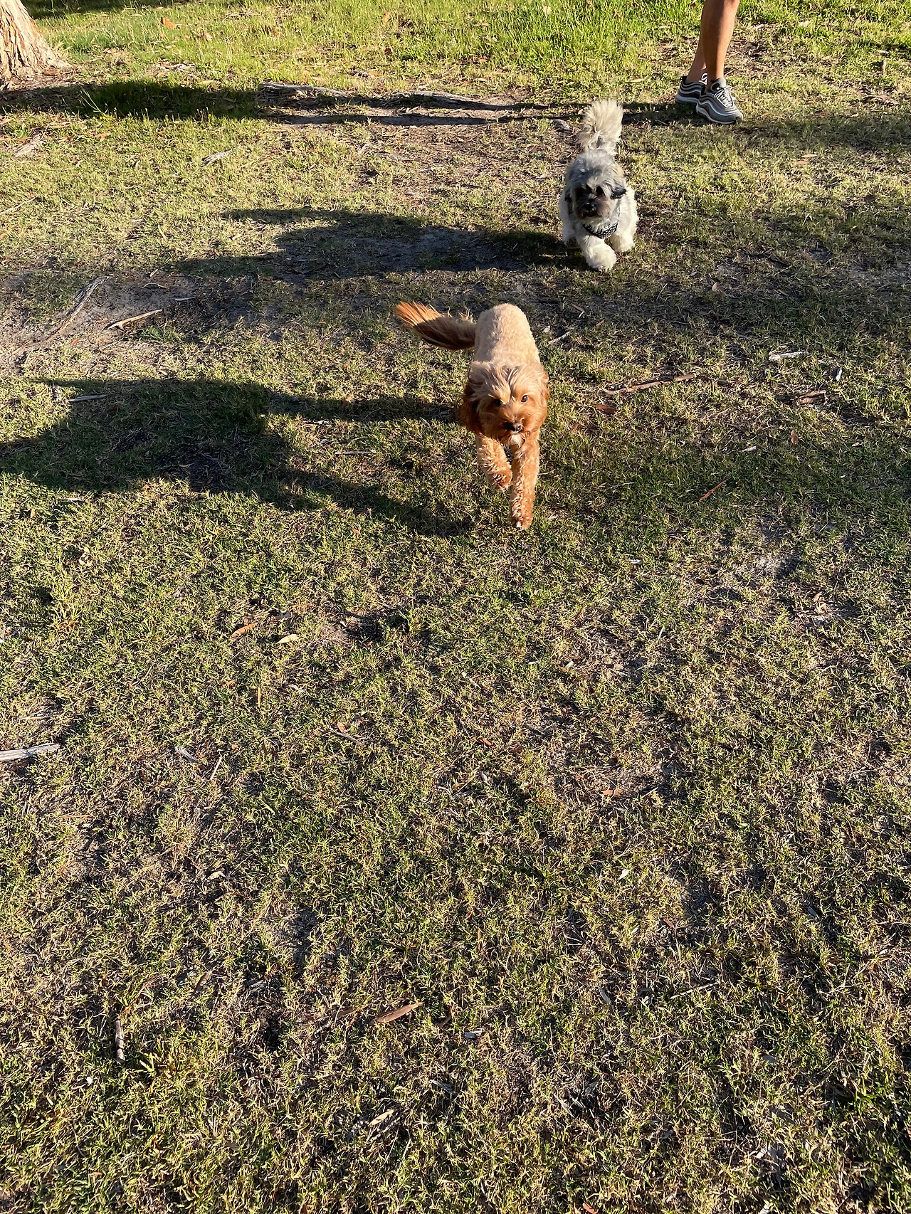 KakaoTalk_20220328_203628842 - Copy.jpg