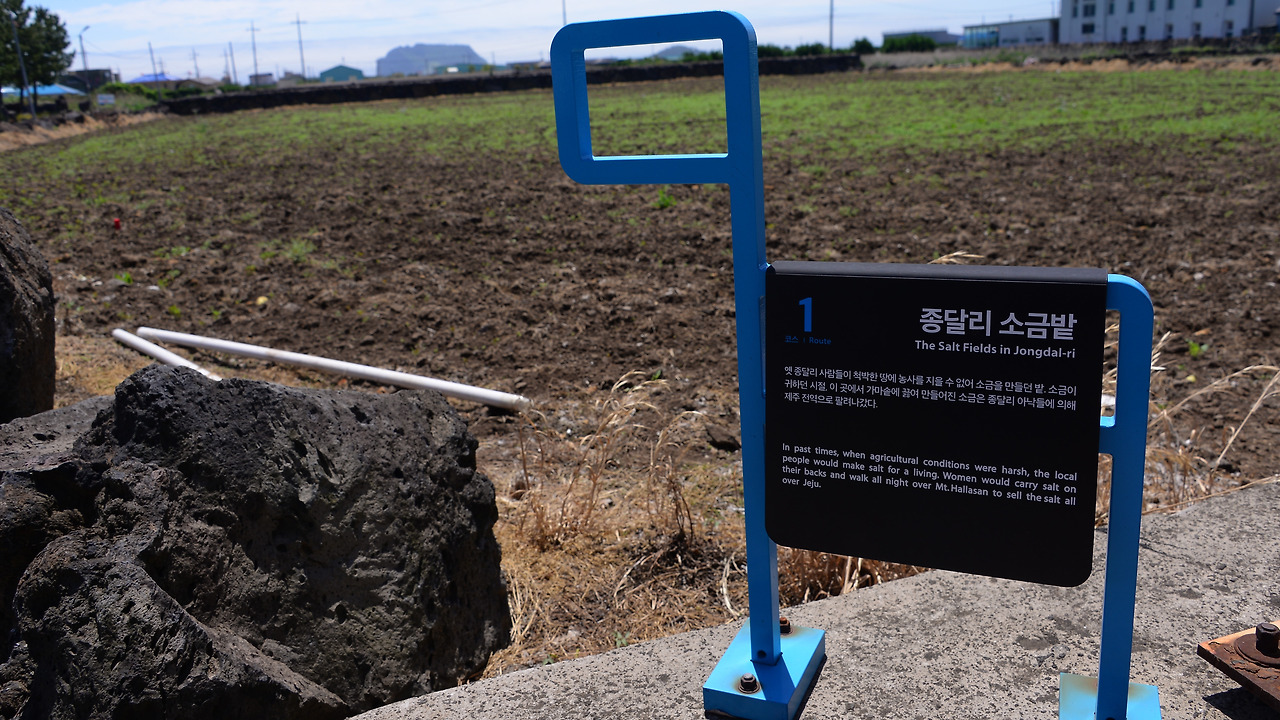 4. 올레 스탬프.jpg