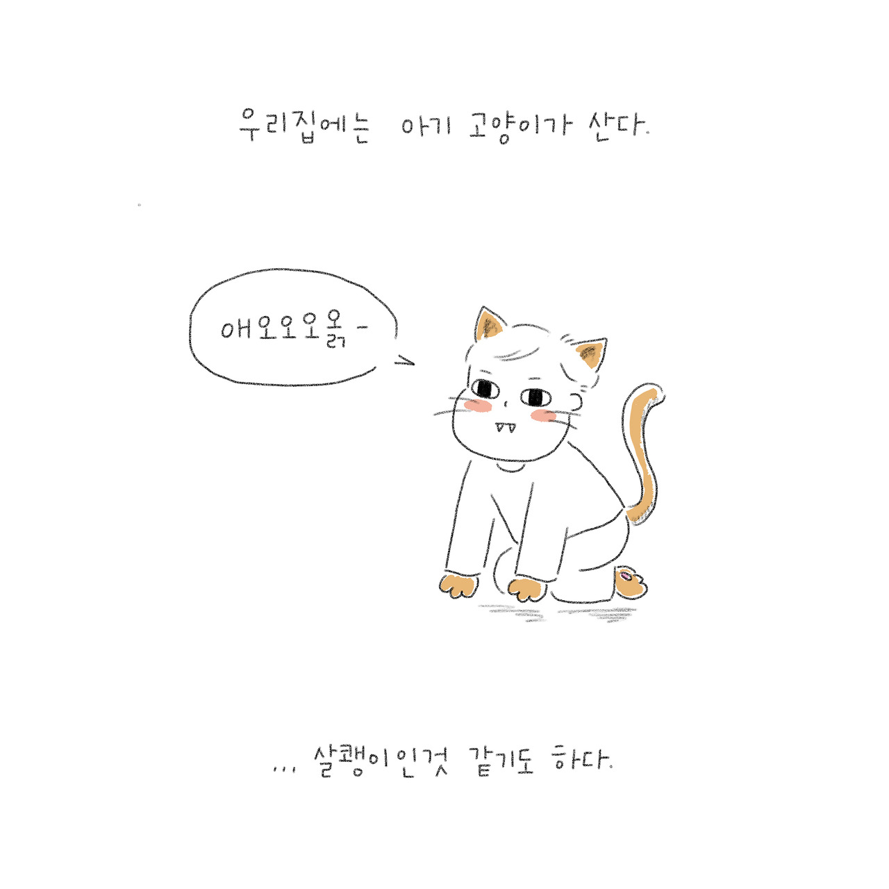 카지노 게임 추천