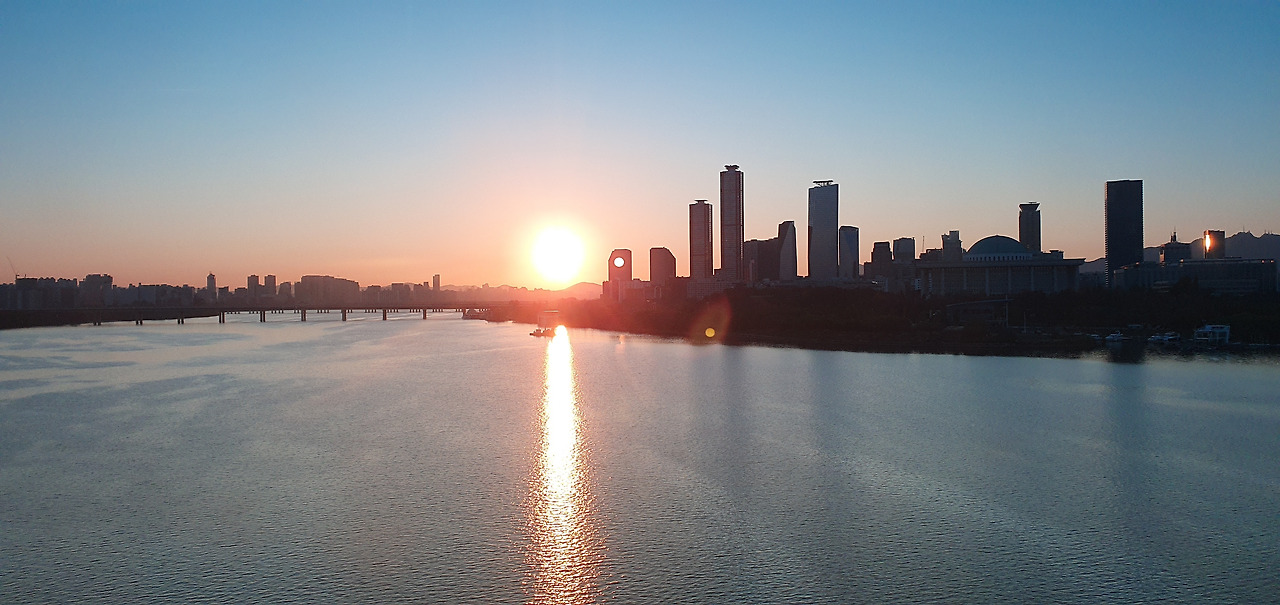 한강 비오리.jpg