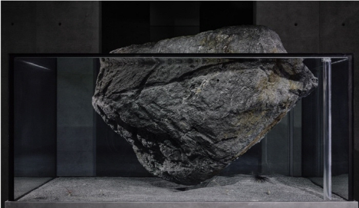 피에르 위그_5.jpg