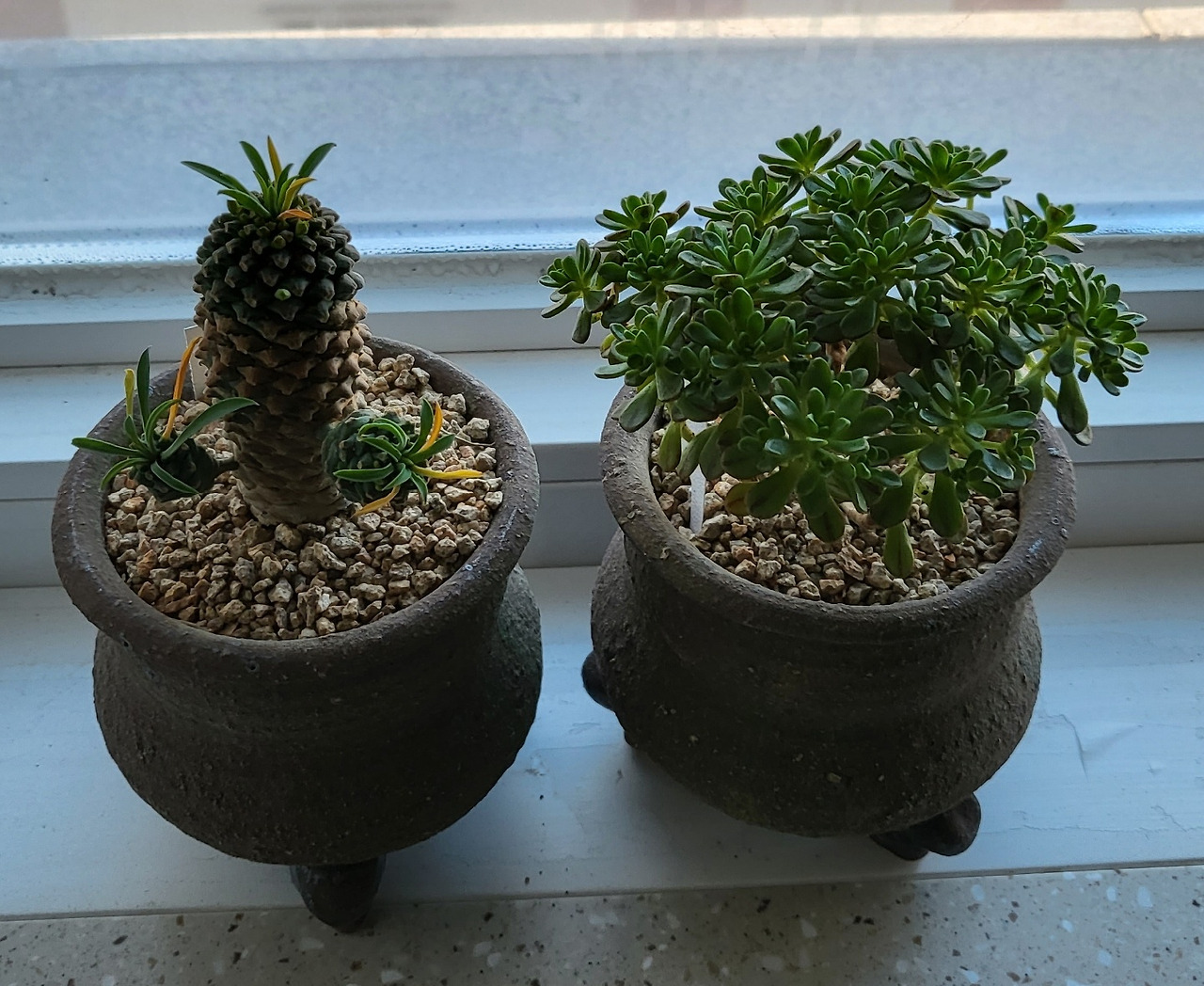 자유와 시간.jpg