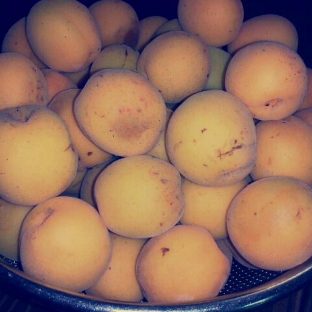 카지노 쿠폰