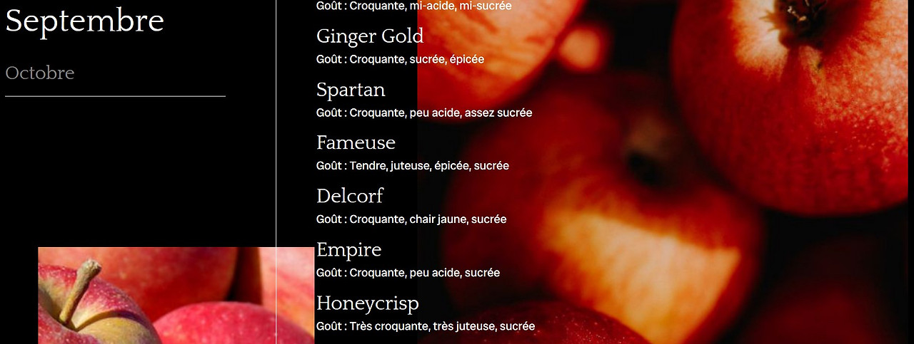 Screenshot 2024-10-08 192923.jpg