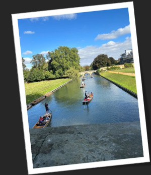 Screenshot 2024-10-05 223517.jpg