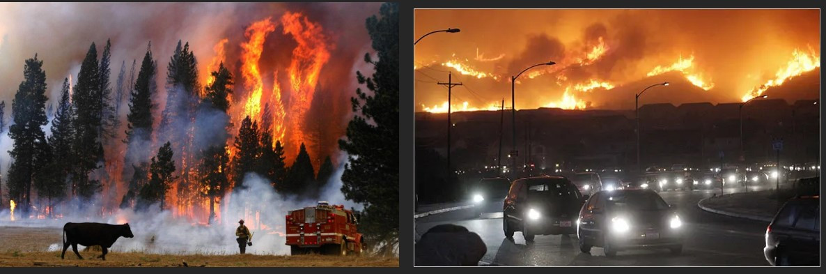 Screenshot 2024-07-19 120140.jpg