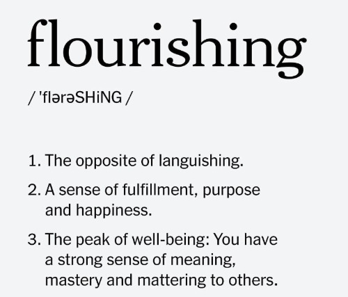 화면 캡처 2025-08-23 194753.jpg