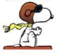 Screenshot 2024-08-22 214610.jpg