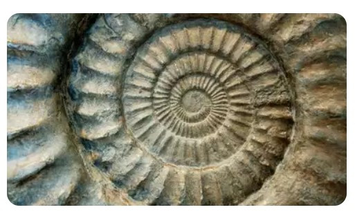 Screenshot 2025-01-09 202514.jpg