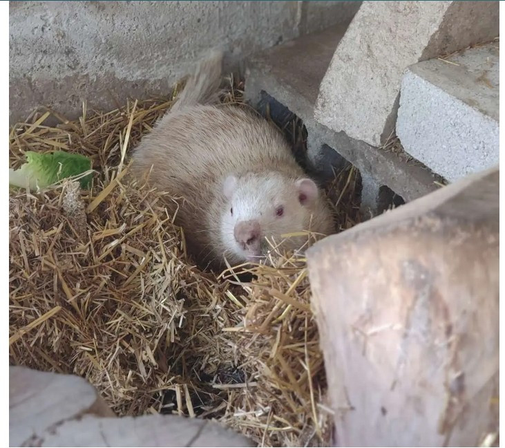 Screenshot 2025-02-04 001657.jpg