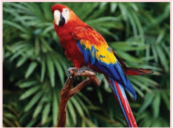 Screenshot 2024-07-11 224811.jpg