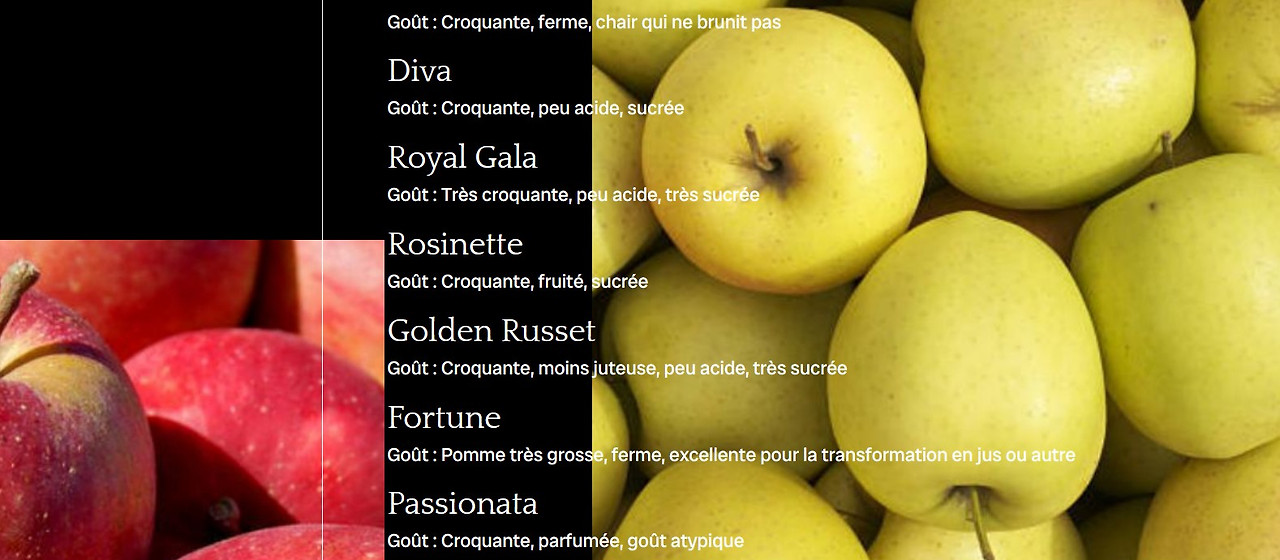 Screenshot 2024-10-08 192631.jpg