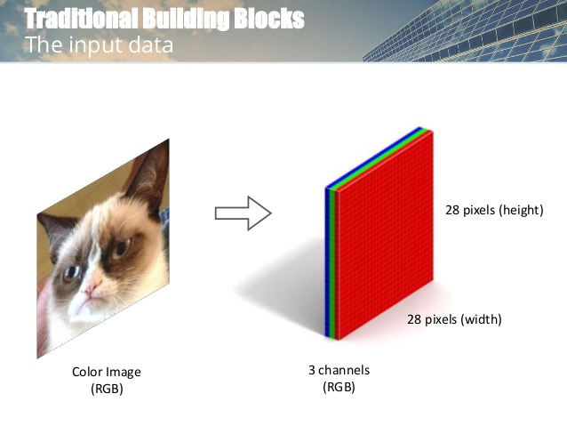 RGB image_도전지향.jpg