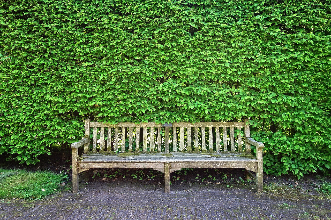 wooden-bench-3392273_1920.jpg