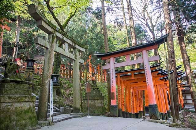 Fushimi_Inari_Shrine6.jpg