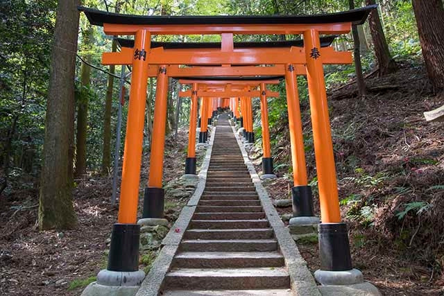 Fushimi_Inari_Shrine4.jpg
