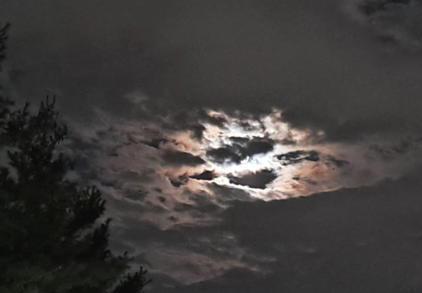 화면 캡처 2025-09-08 214001.jpg