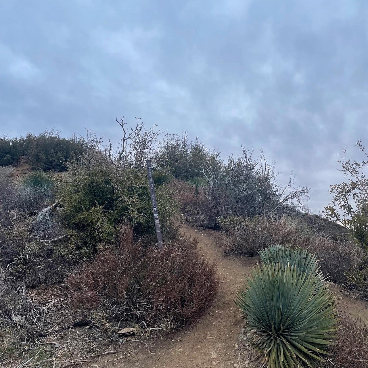 KakaoTalk_20220303_154202927_01 (1).jpg