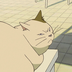 삐친 고양이.jpg