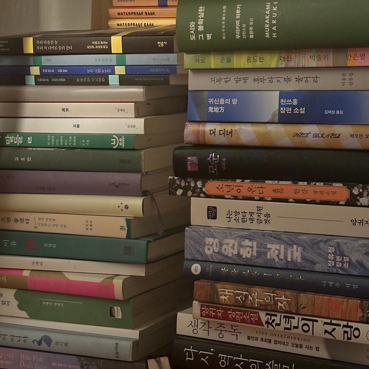 카지노 게임