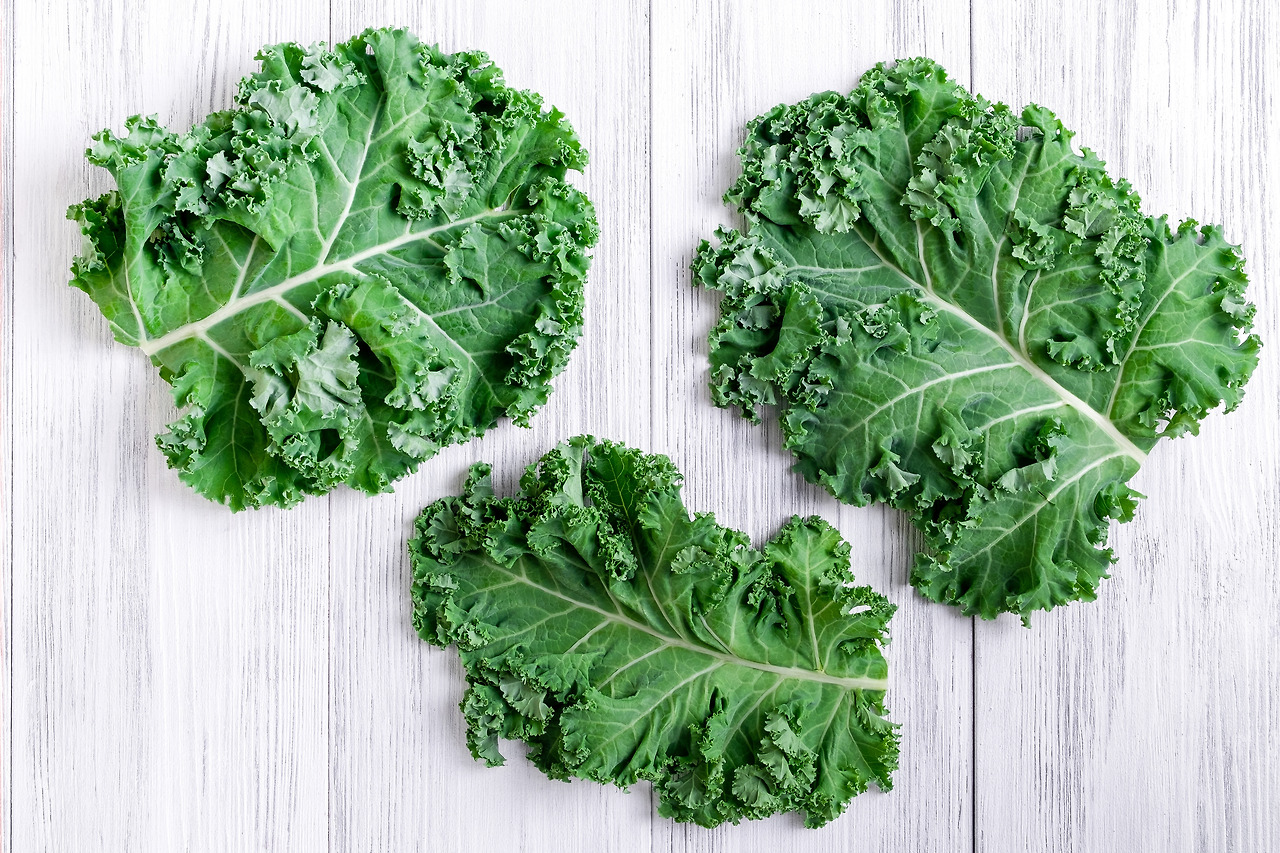kale-leaves-2022-11-16-18-04-50-utc.jpg