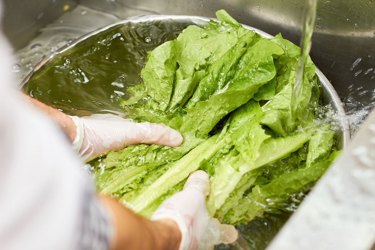 washing-lettuce-start-cooking-2021-12-09-05-09-30-utc.jpg