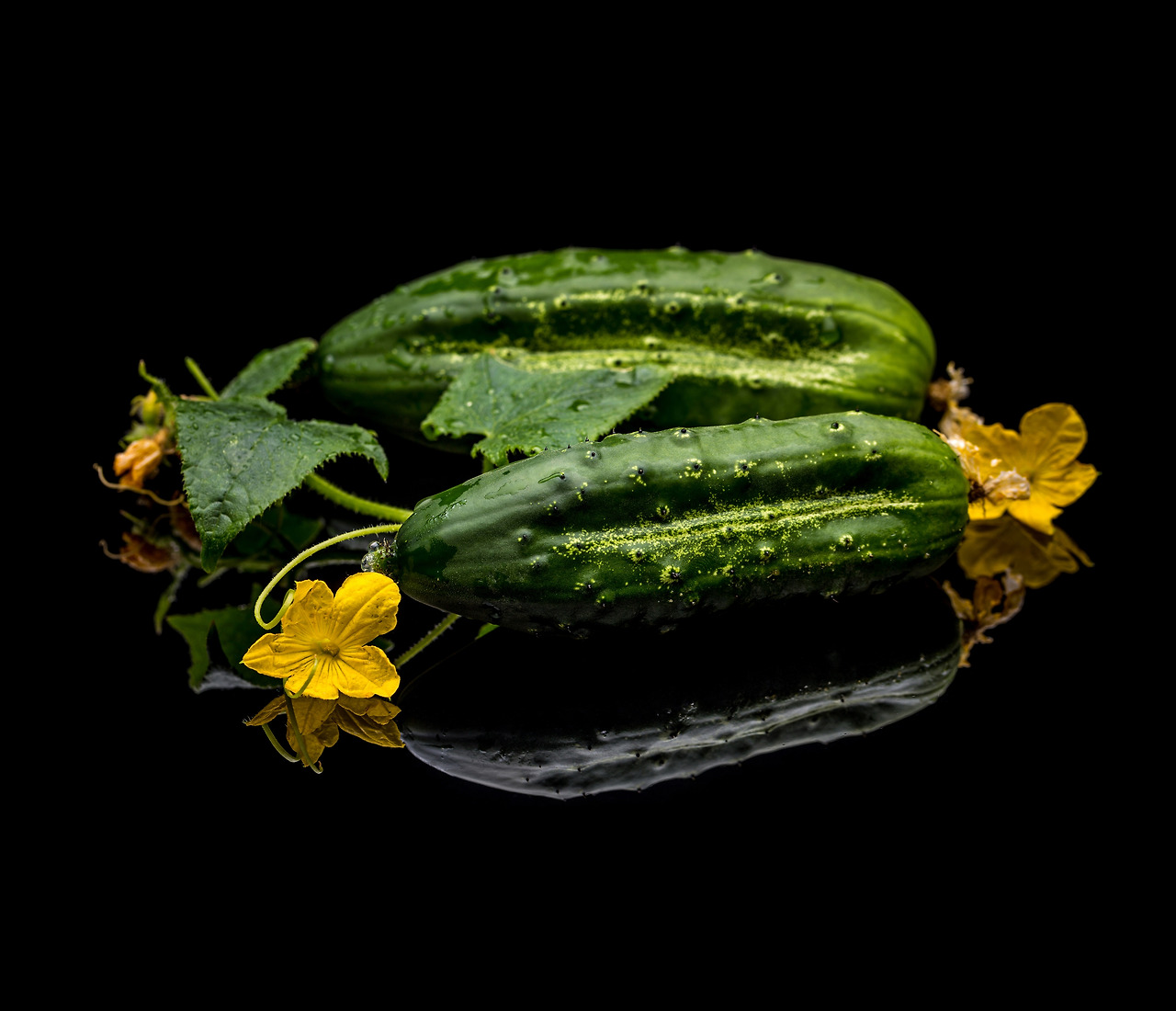 raw-organic-cucumbers-2023-11-27-05-11-14-utc.jpg