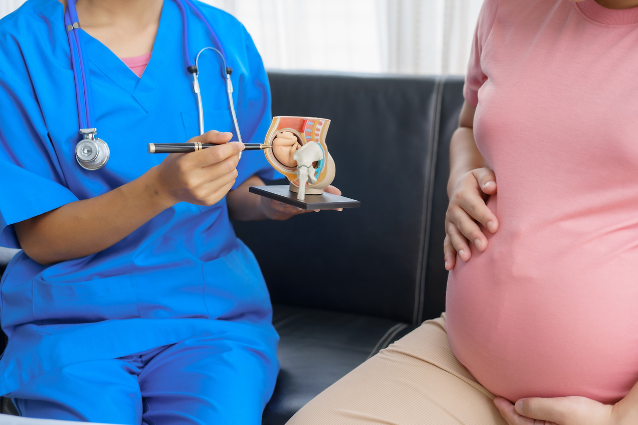 pregnant-mothers-meet-the-nurse-at-the-clinic-as-s-2024-08-13-18-53-22-utc.jpg