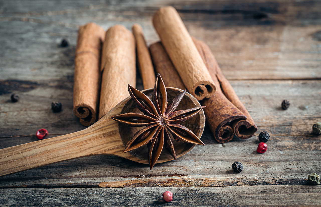 composition-with-star-anise-and-cinnamon-sticks-on-2023-11-27-05-34-25-utc.jpg