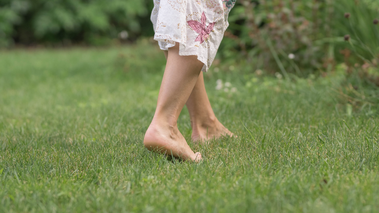 walking-barefoot-on-the-grass-2022-11-03-12-41-43-utc.jpg