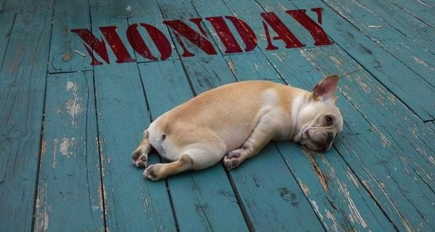 직장인 월요병 .jpg