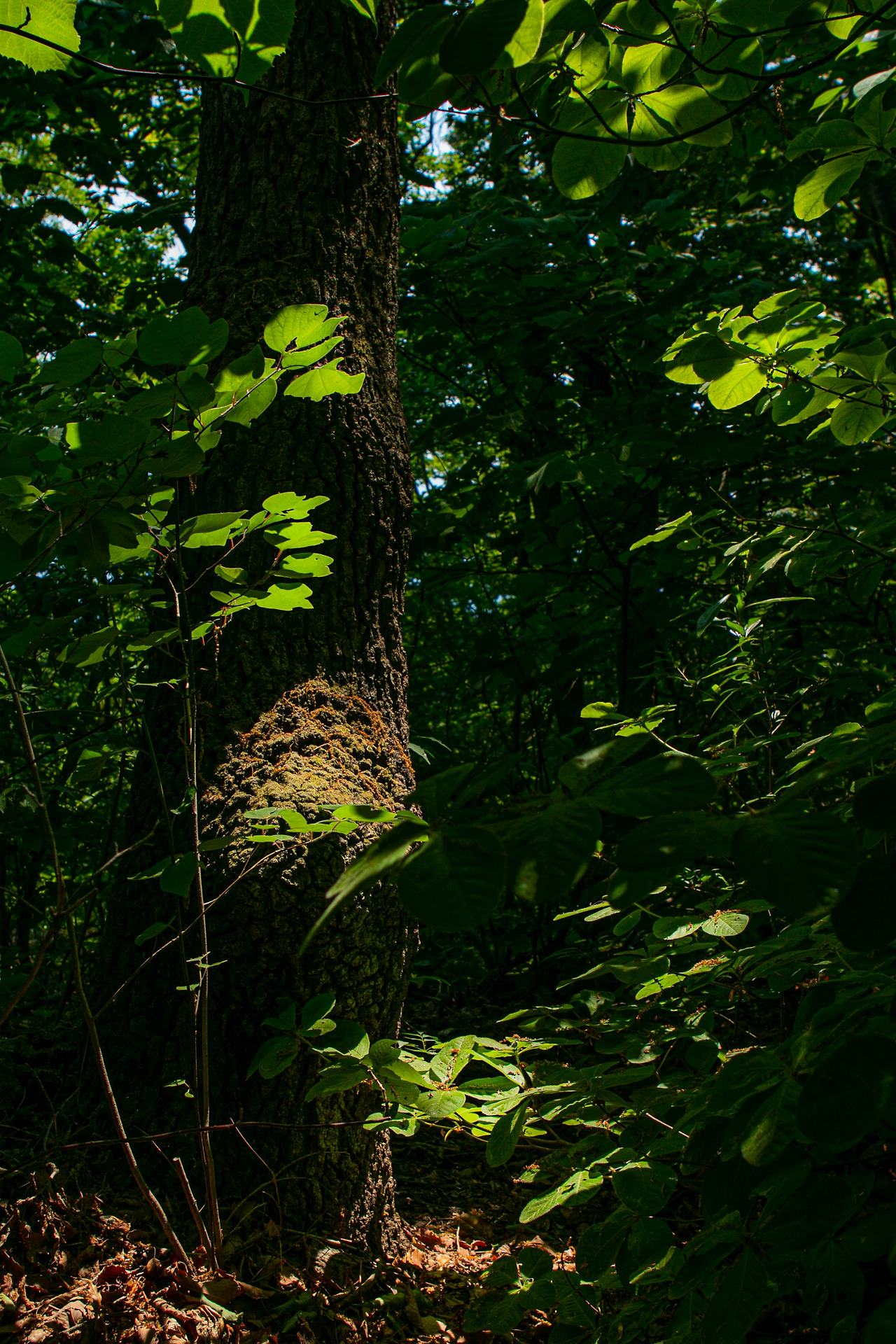 IMG_5585완료.jpg 수정.jpg