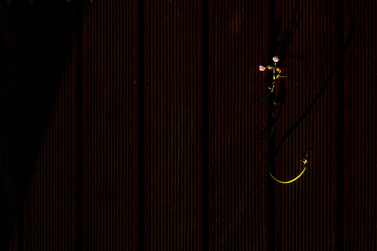 IMG_4476완료.jpg 최종.jpg