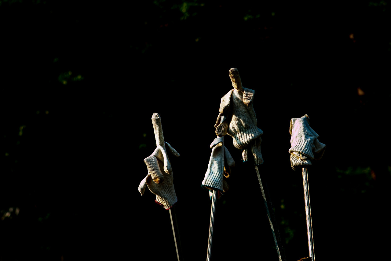 IMG_4420.jpg 수정.jpg