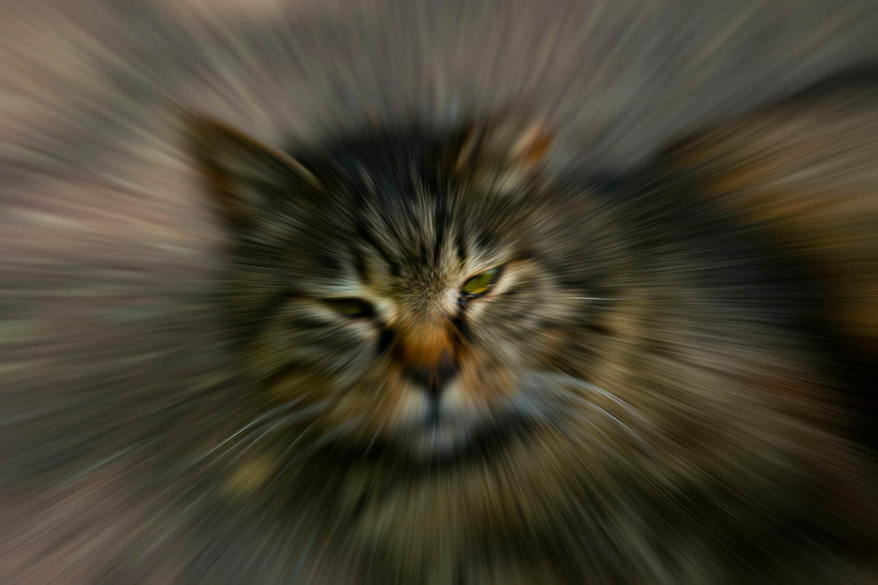 IMG_2997.jpg 최종.jpg