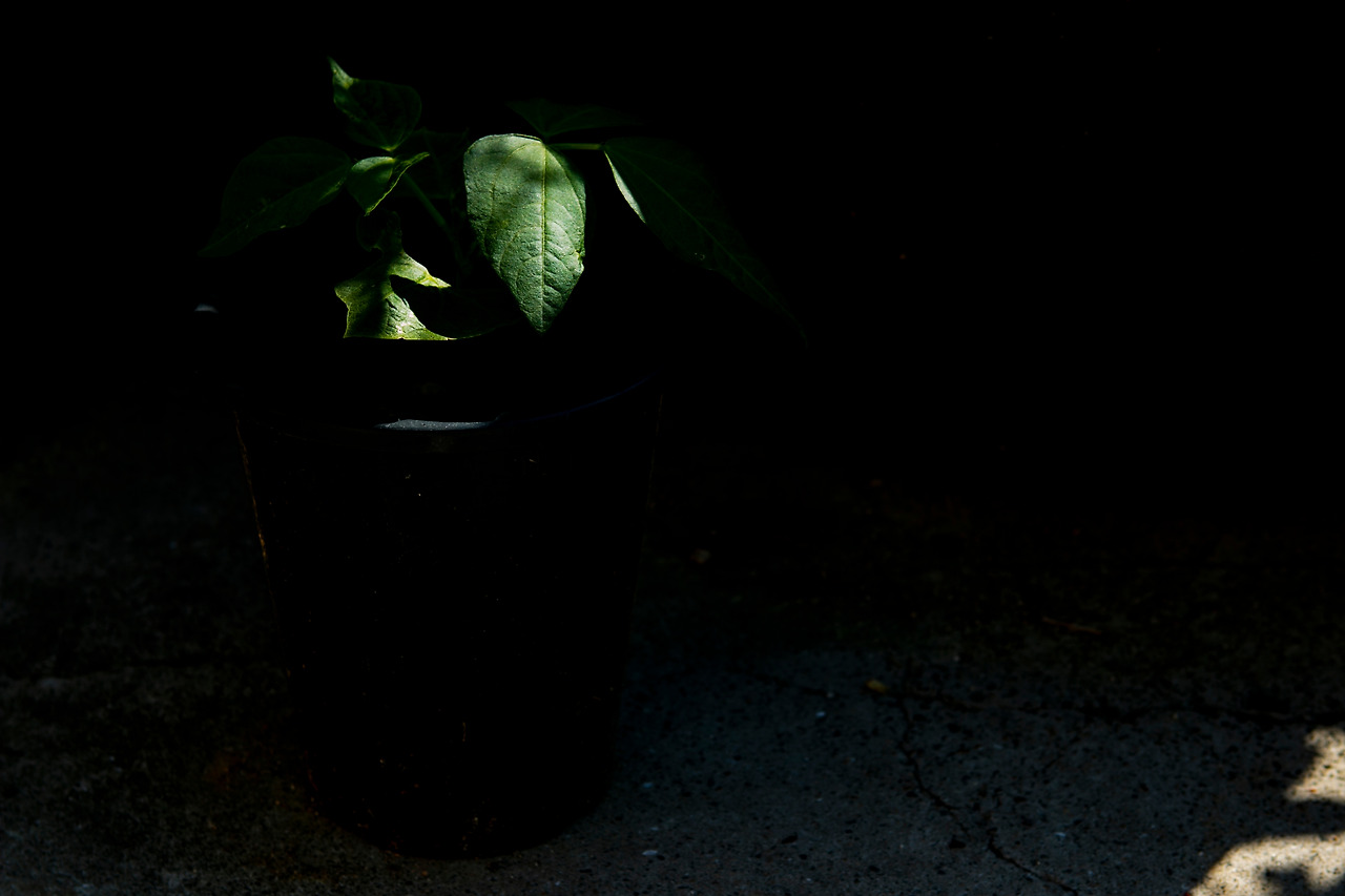 IMG_4347완료.jpg 최종.jpg